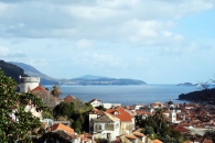 DSC_1317 (Large).JPG