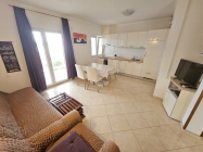 20250224_080410 (Medium) (1).jpg