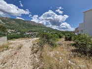 20250709_121236_resized (Large).jpg